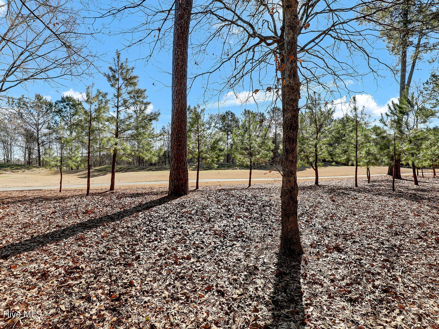 118 Pilot House Dr Wallace, NC 28466 | Land/Lot