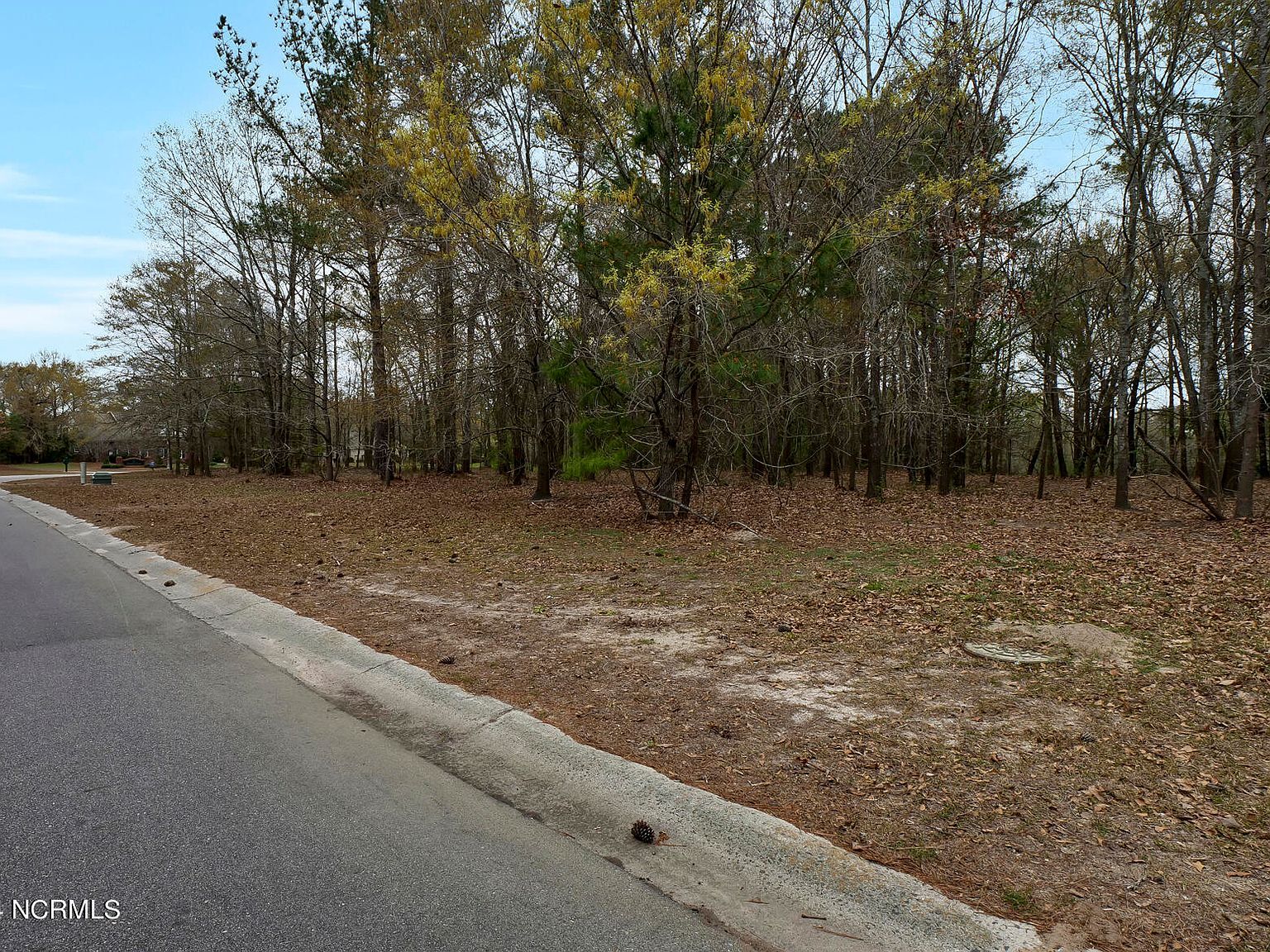 153 River Woods Dr Wallace, NC 28466 | Land/Lot