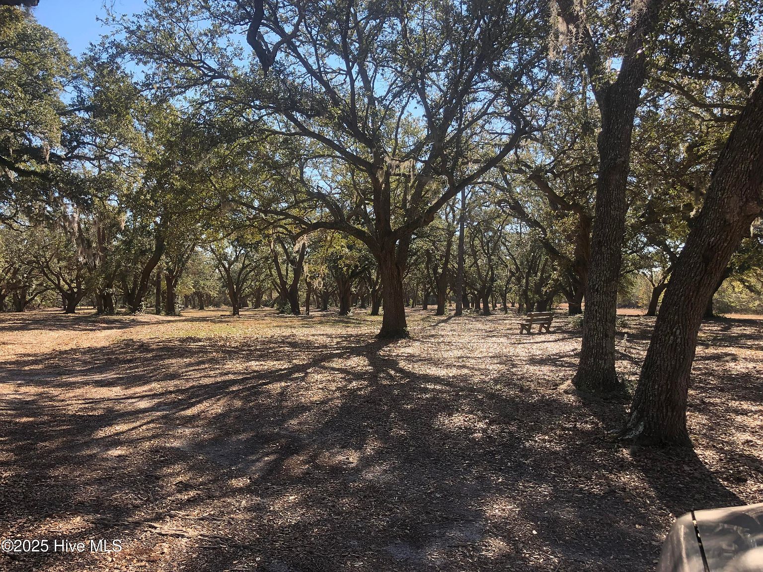 369 Holly Ridge Rd Holly Ridge, NC 28445  | Land/Lot