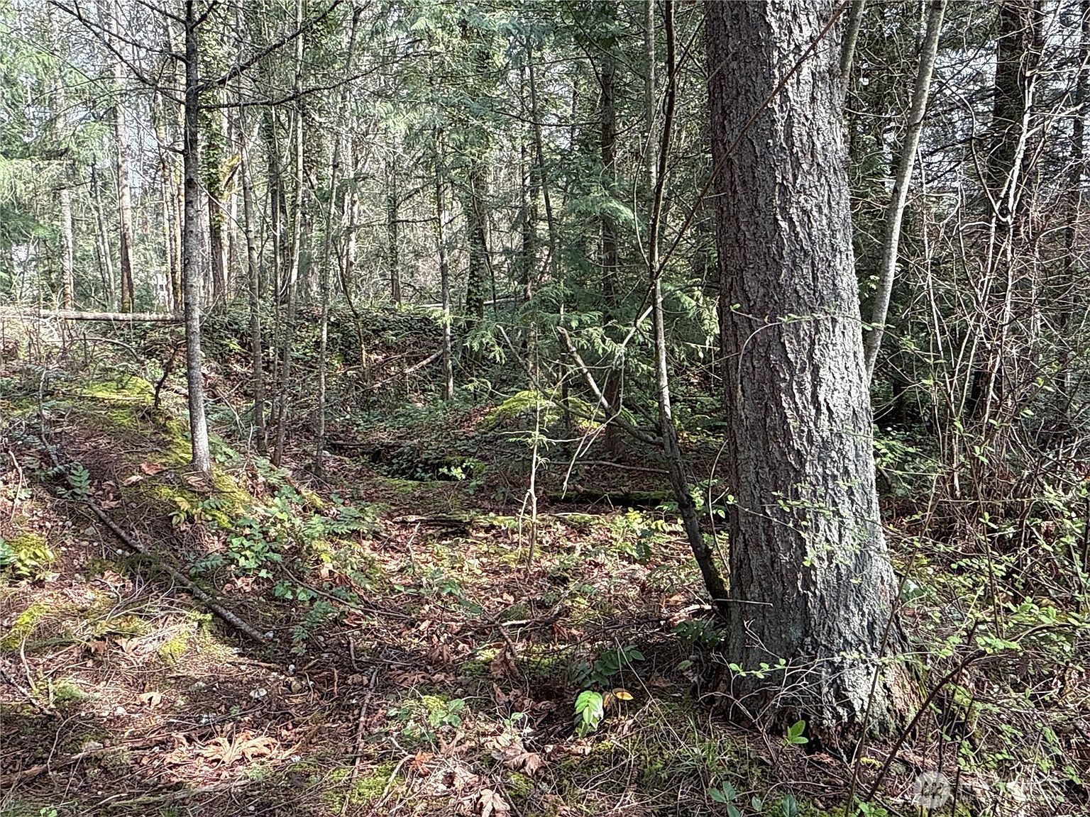 149 Xx 175th Ave SE Renton, WA 98059 | Land/Lot