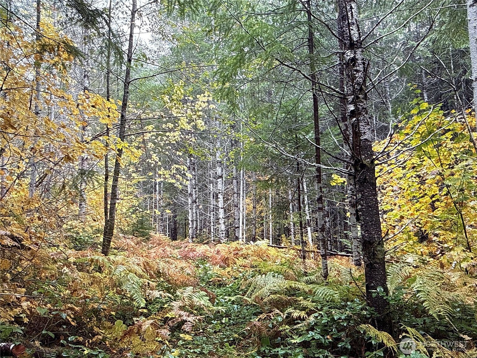 4 Xx Forest Rd #52 Kennewick, WA 99338 | Land/Lot