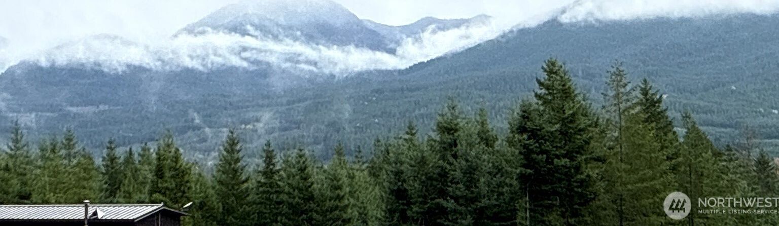 2 Xx Forest Rd #52 Packwood, WA 98361  | Land/Lot