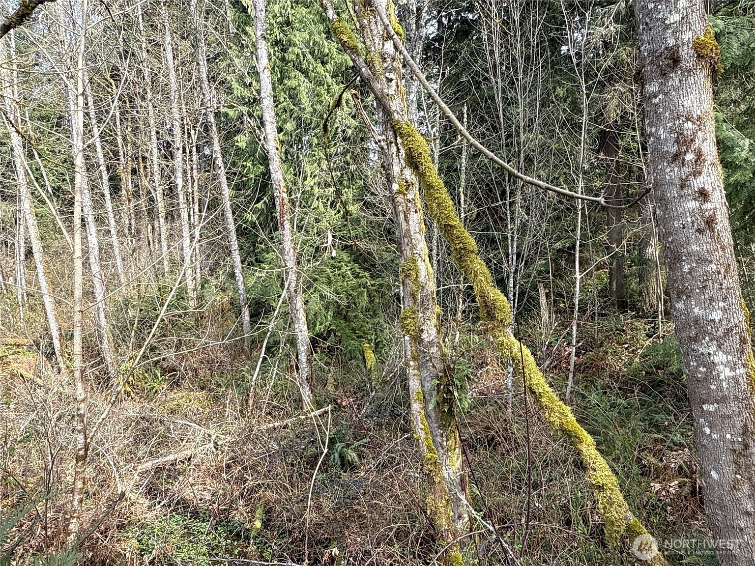 22 212th Ave SE Maple Valley, WA 98038  | Land/Lot