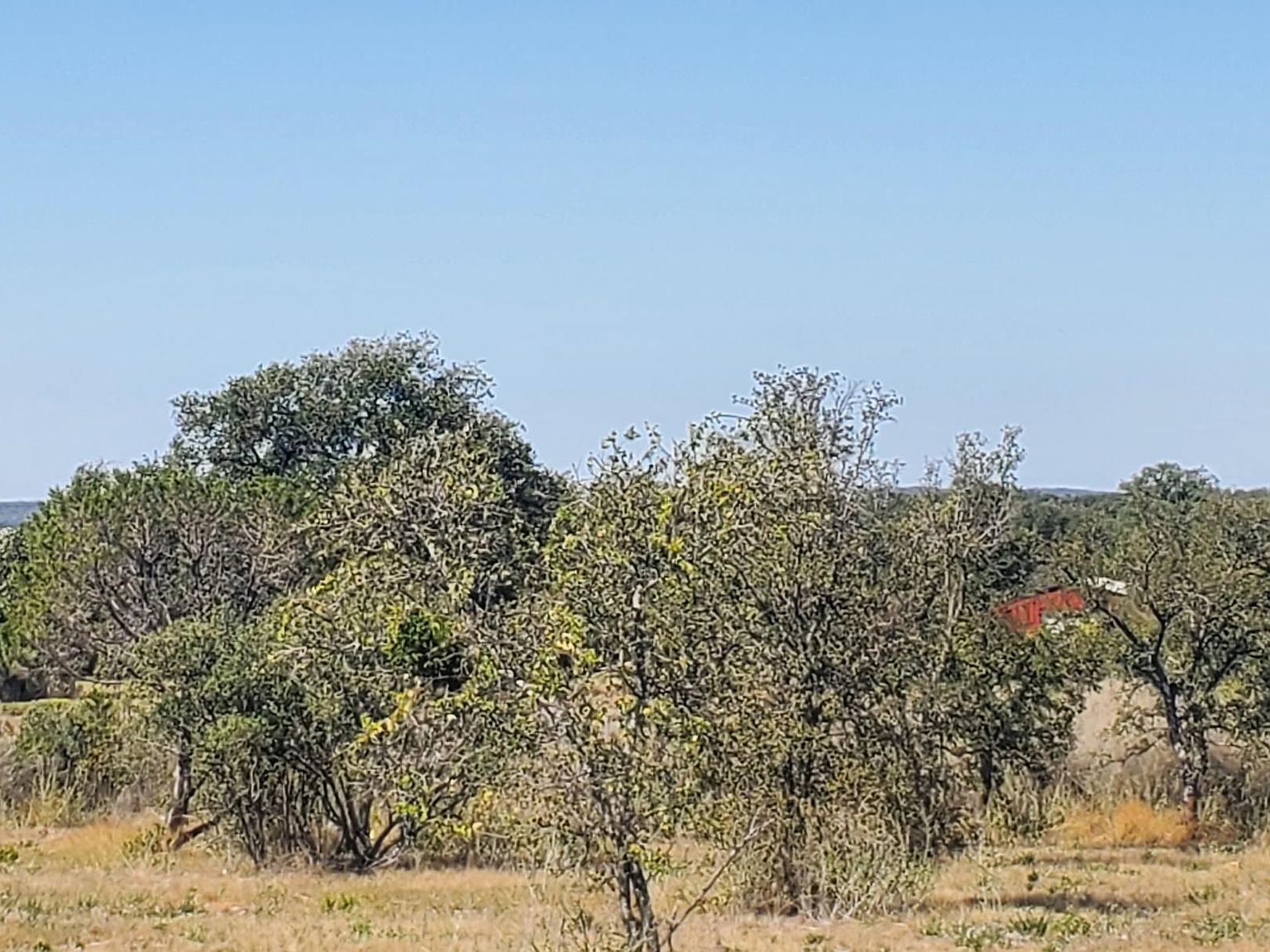 6 Lehne Loop Buchanan Dam, TX 78609  | Land/Lot