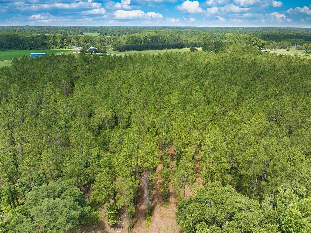 6936 Simpson Rd Hahira, GA 31632  | Land/Lot