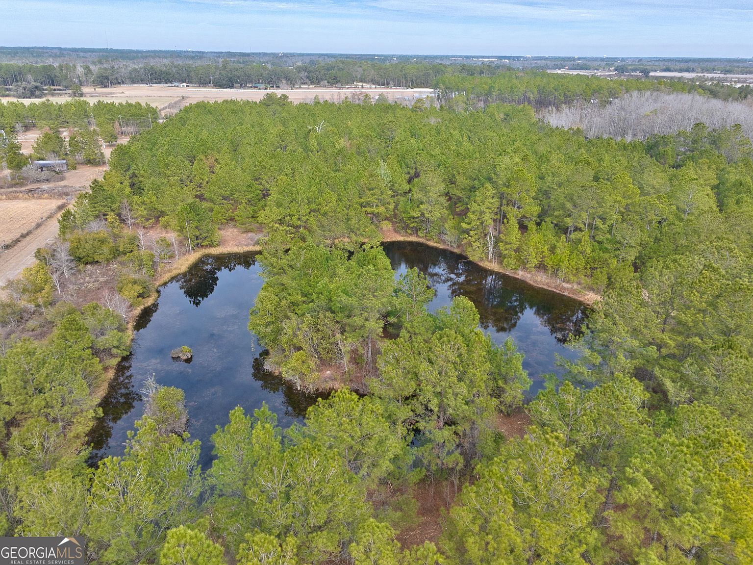 2940 Mud Swamp Rd Valdosta, GA 31601  | Land/Lot