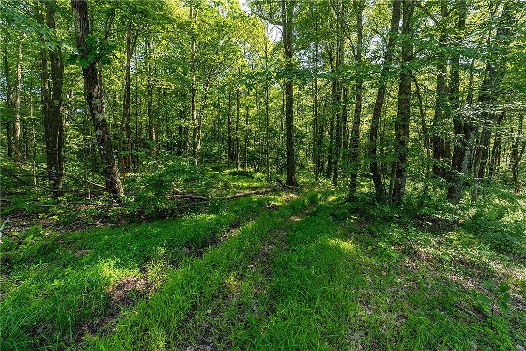 552 Chalk Hill Ohiopyle Rd Ohiopyle, PA 15470 | New build