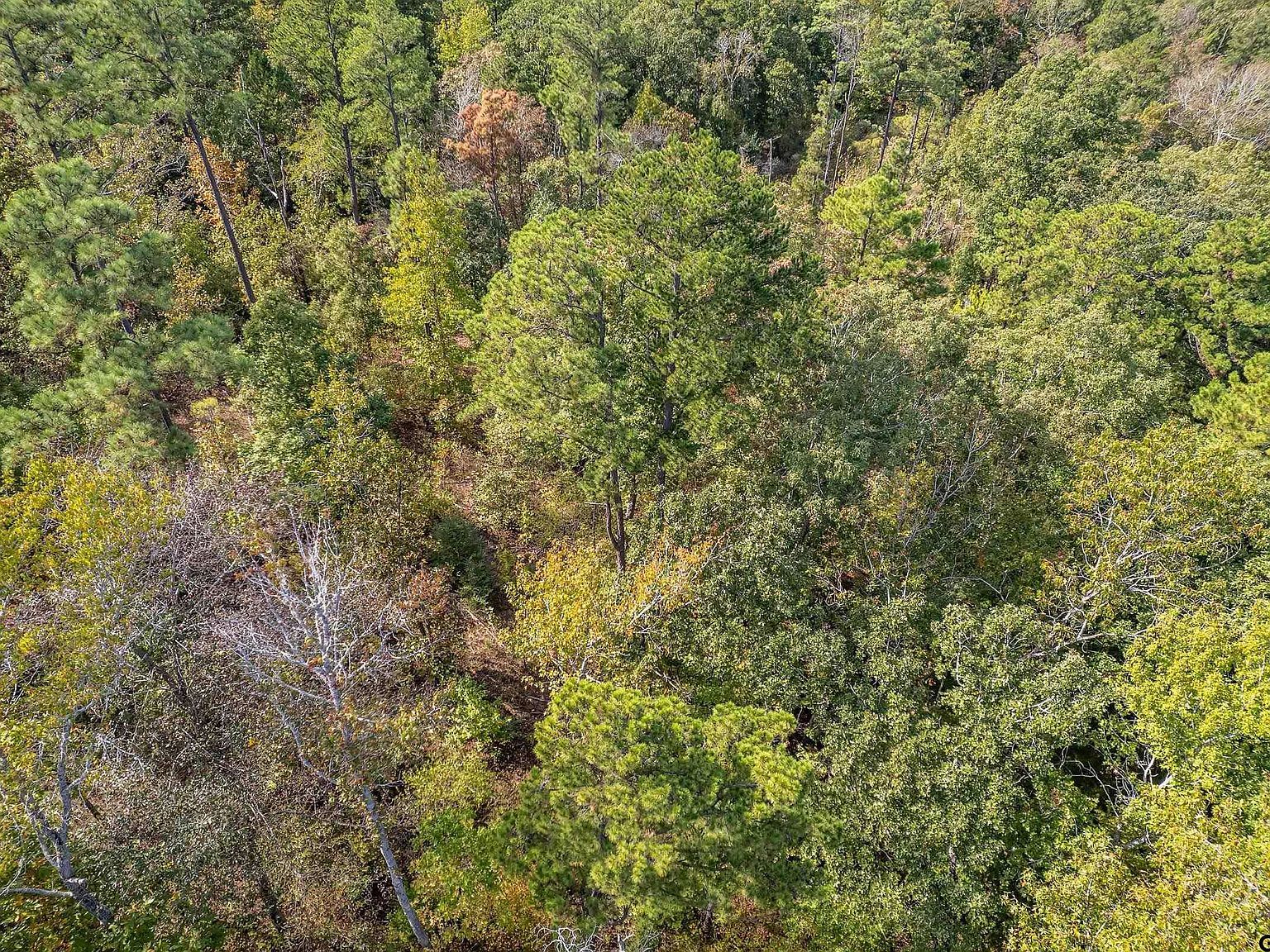 1305 Jackson Dr #110 Rusk, TX 75785  | Land/Lot