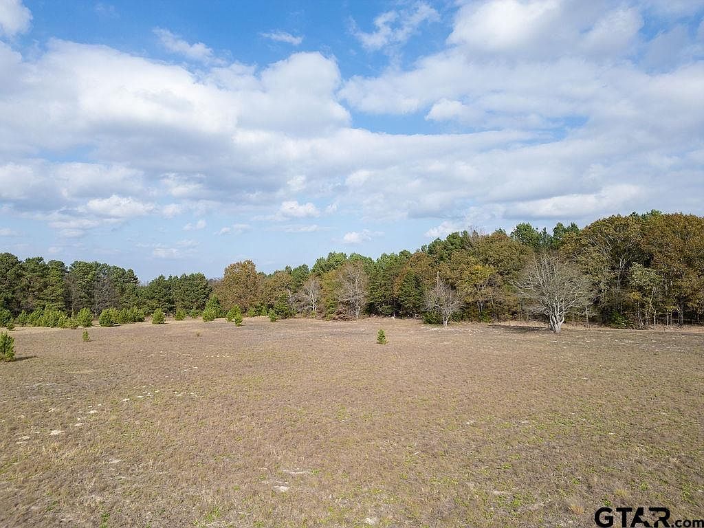 25553 County Road 462 Mineola, TX 75773  | Land/Lot