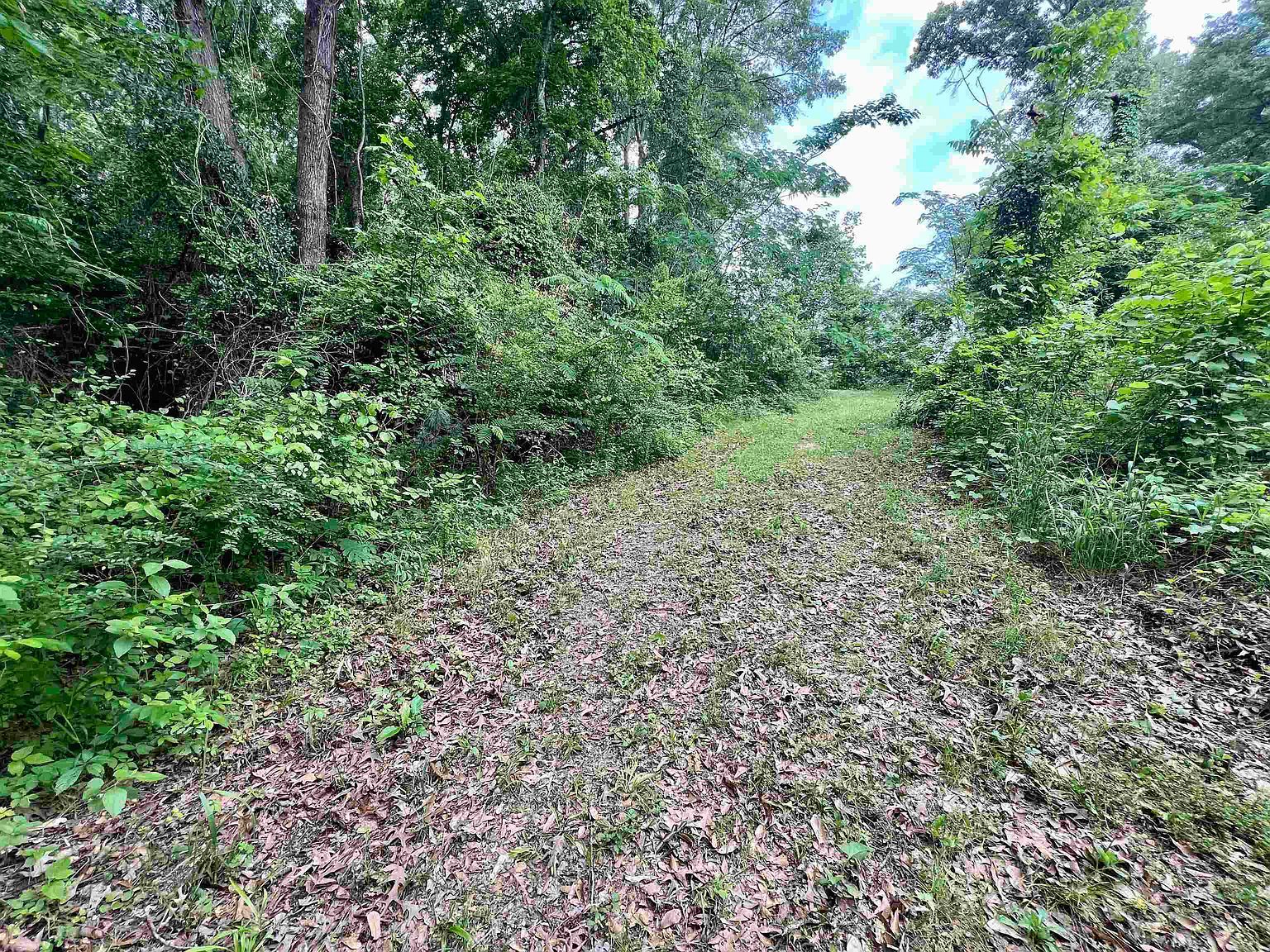 540 Us Highway 271 N Gilmer, TX 75644  | Land/Lot