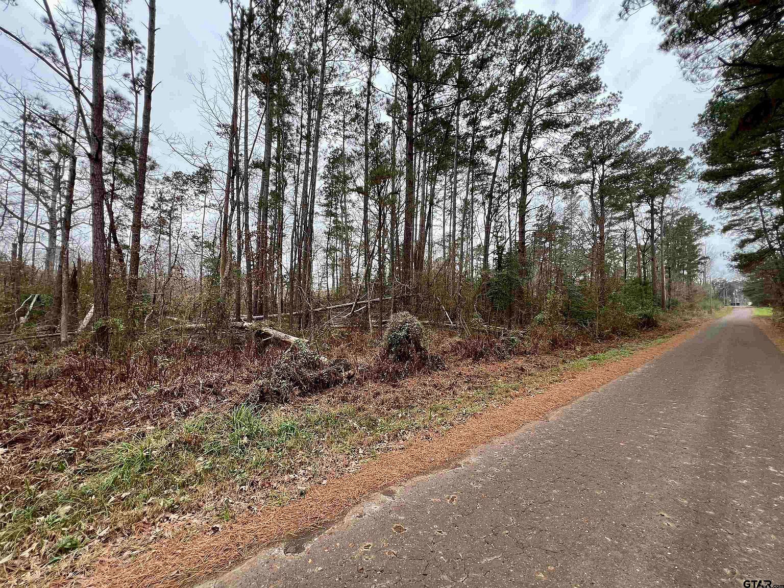 Tbd Reddick Rd Ore City, TX 75683  | Land/Lot