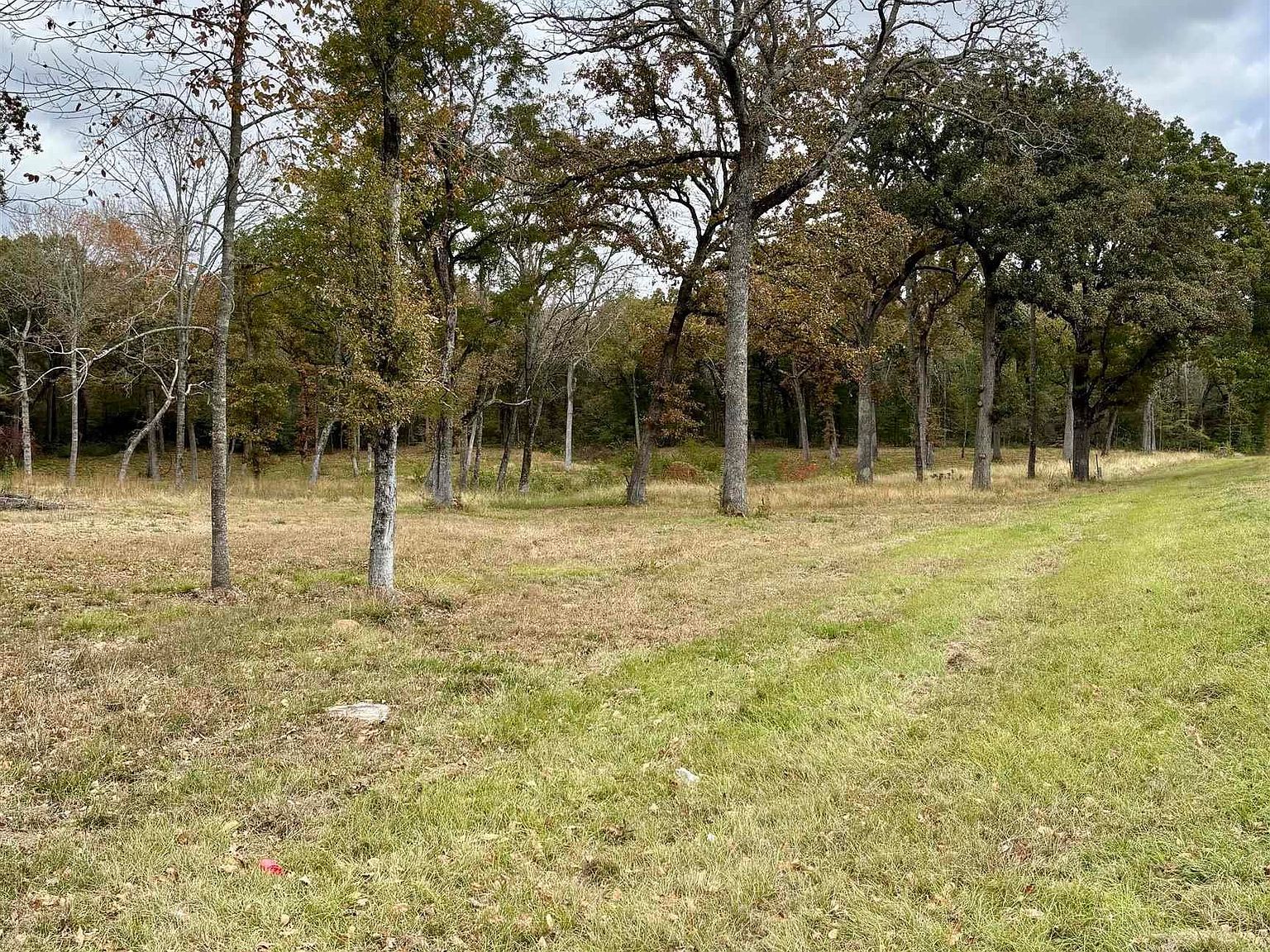 15308 W Fm 321 Tennessee Colony, TX 75861  | Single Family