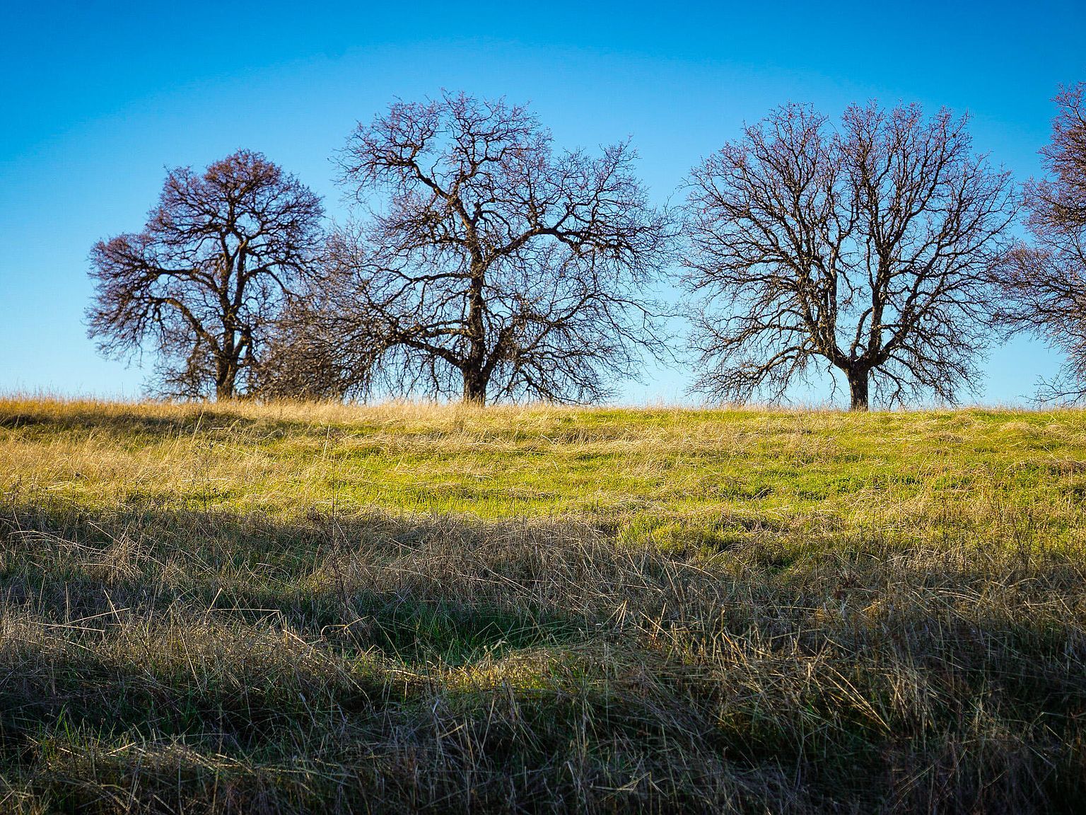 LOT 77 River Downs Way Cottonwood, CA 96022  | Land/Lot