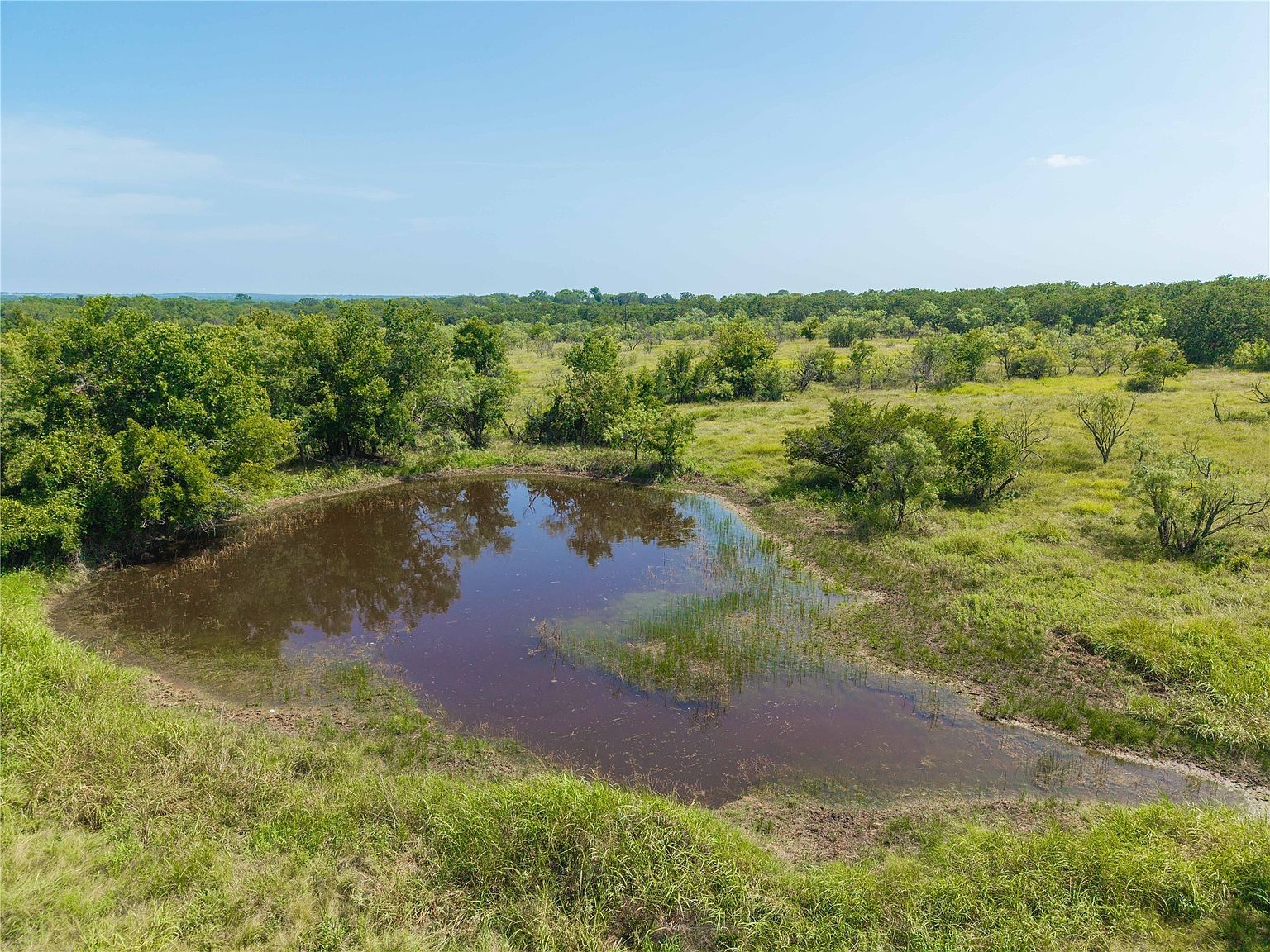 11253 County Road 525 May, TX 76857 | Single Family