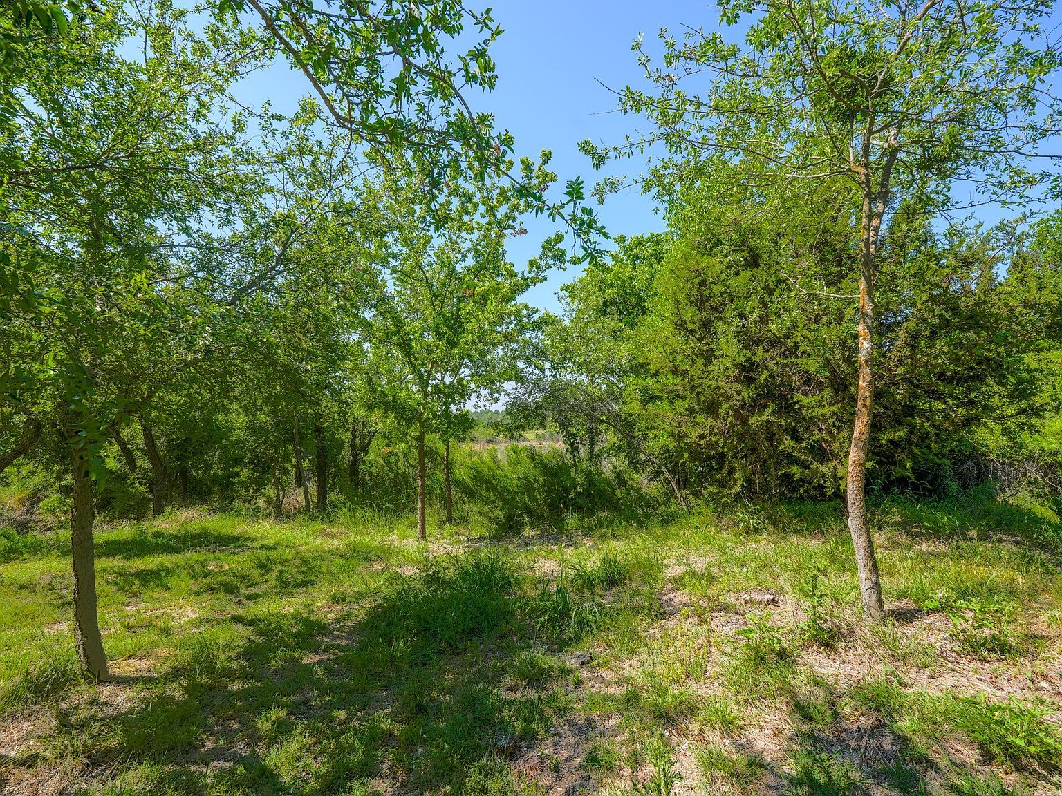 710 Whispering Oaks Ln Early, TX 76802 | New build