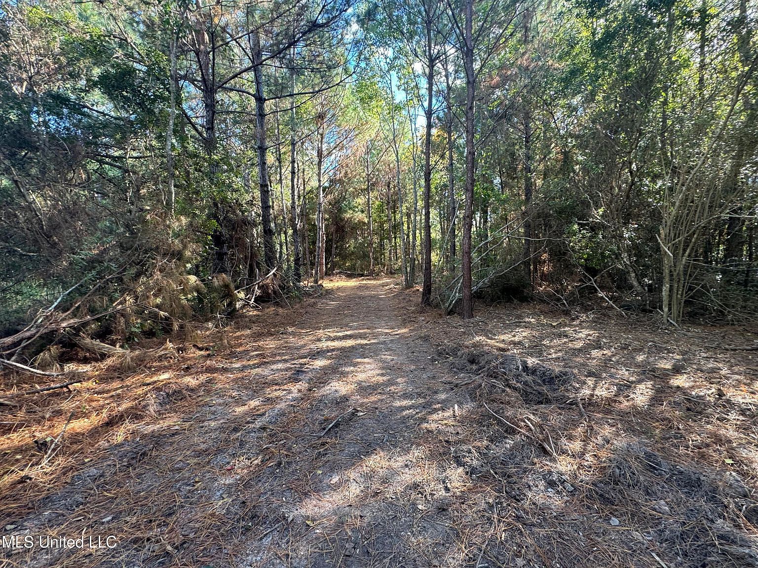7190 Cantania Rd Bay Saint Louis, MS 39520 | Land/Lot