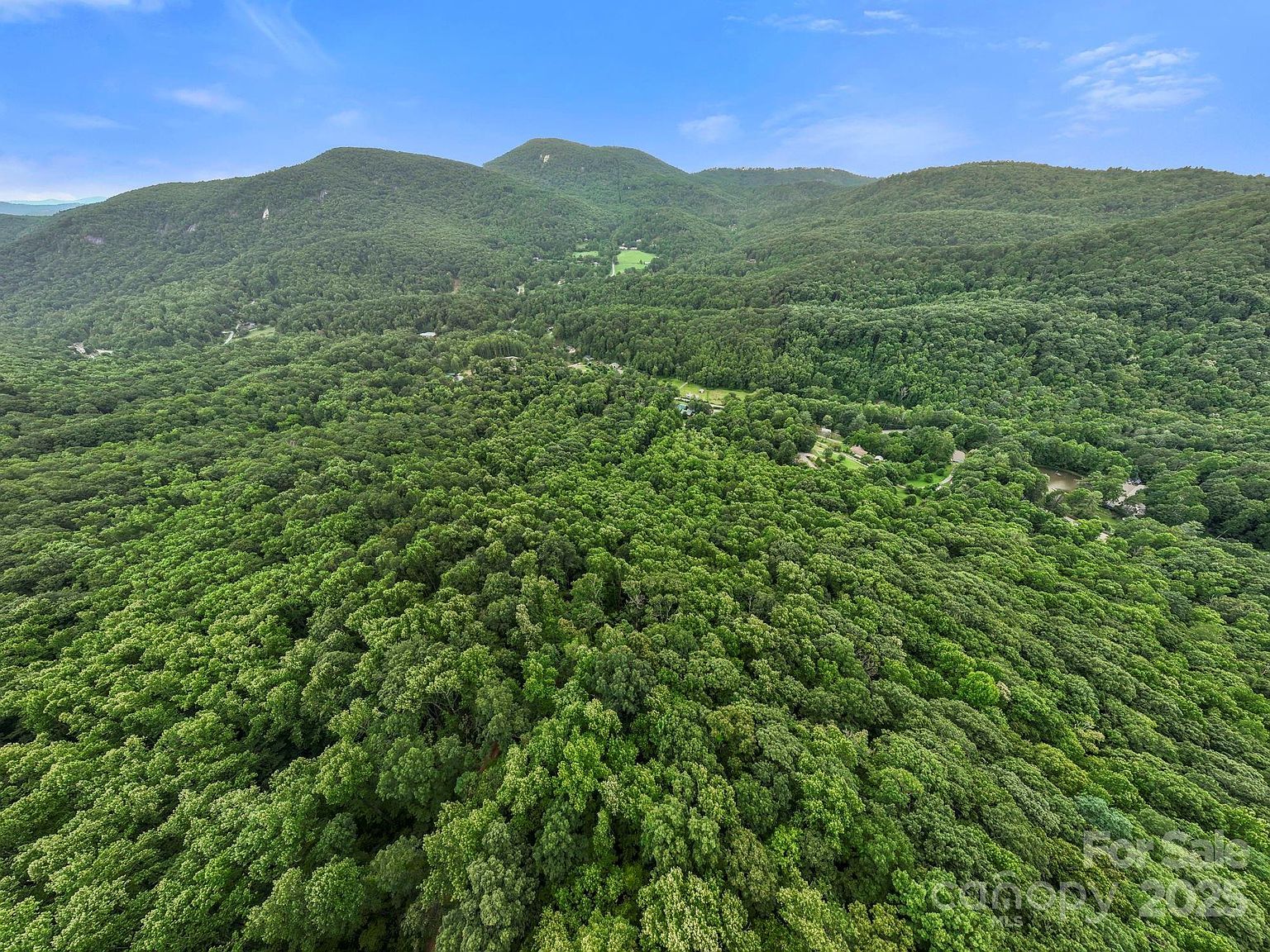 99999 Little Pisgah Rd Gerton, NC 28735  | Land/Lot