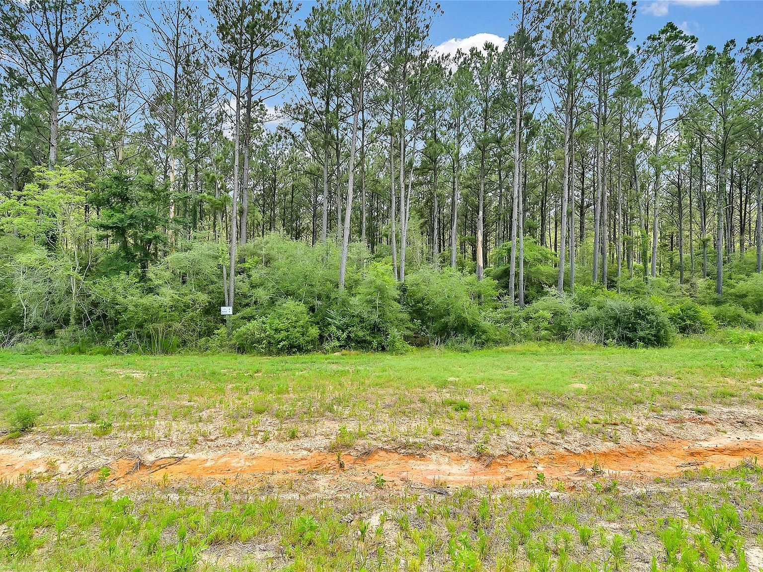 15469 Forest Grove Dr Willis, TX 77378 | Land/Lot