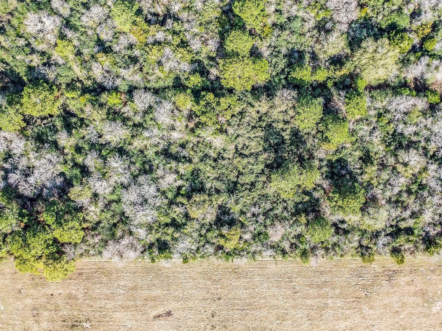 17625 Falcon Ln Hempstead, TX 77445  | Land/Lot