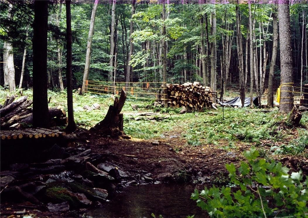 Shandelee Rd Livingston Manor, NY 12758 | Land/Lot