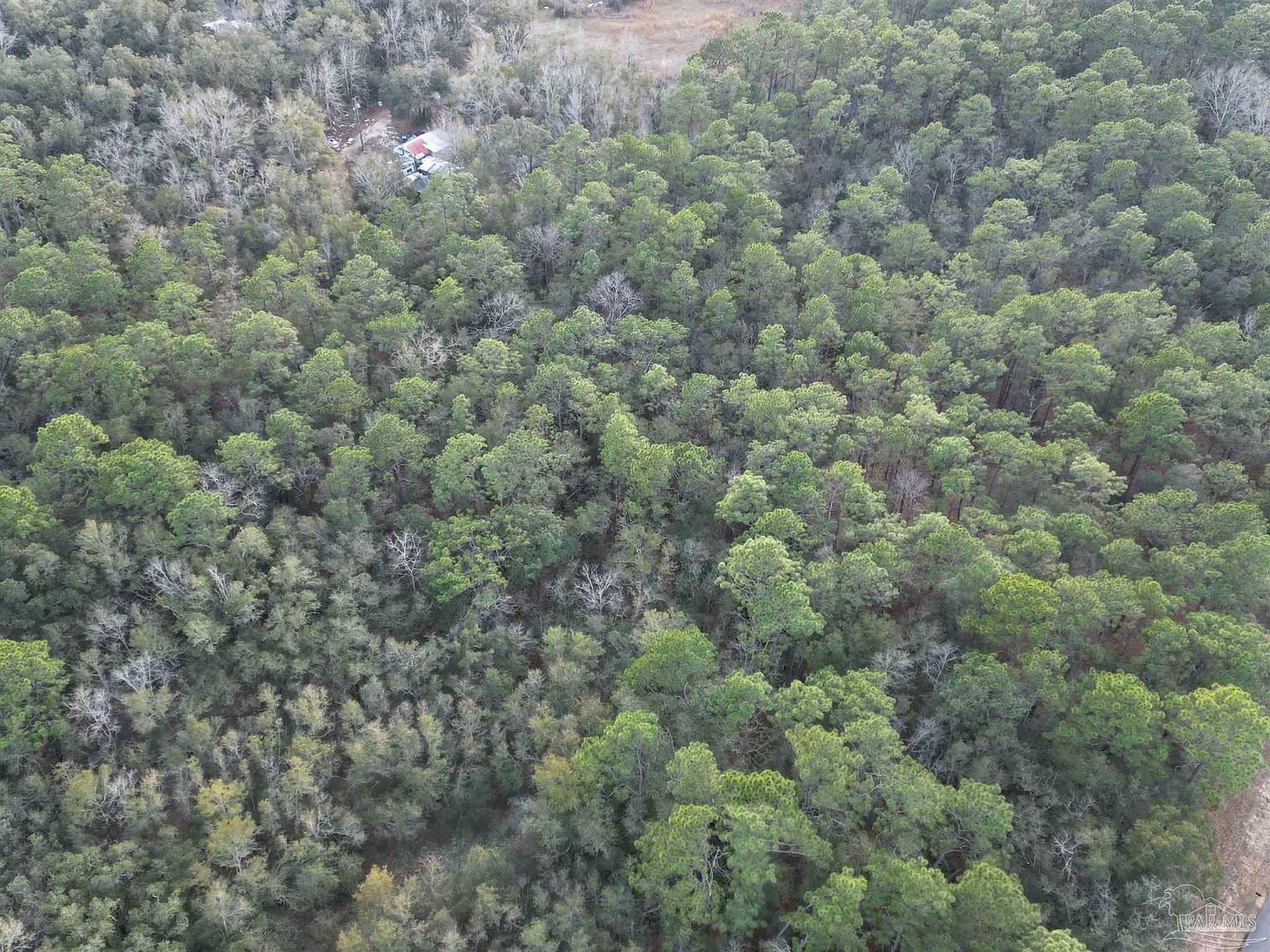 0 Ward Basin Rd Milton, FL 32583  | Land/Lot