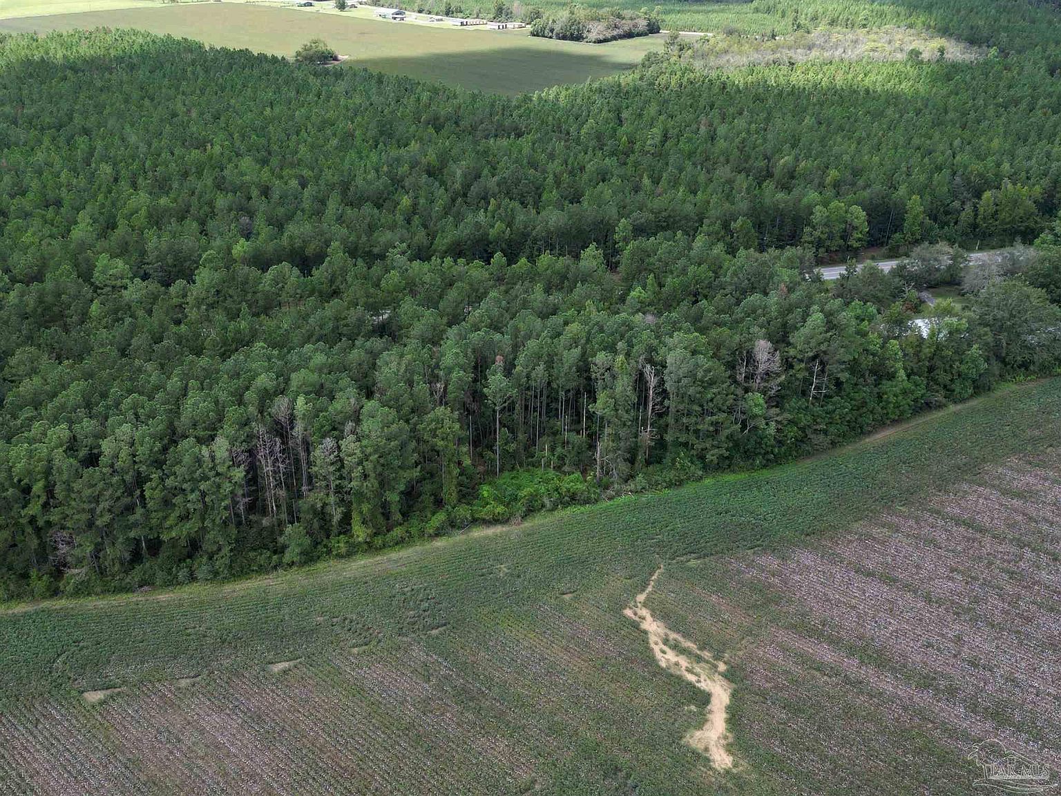 0 Highway 87 N Jay, FL 32565  | Land/Lot