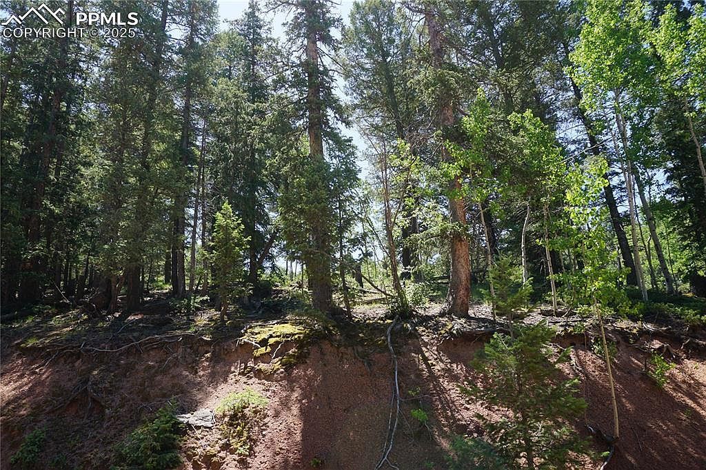 1000 Bennett Dr Cripple Creek, CO 80813  | Land/Lot