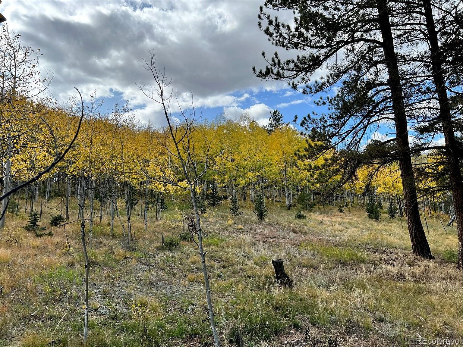 20 Echo Lake Dr Florissant, CO 80816  | Land/Lot