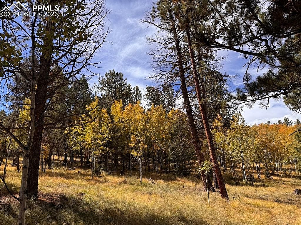 LOT 20 Echo Lake Dr Lake George, CO 80827  | Land/Lot