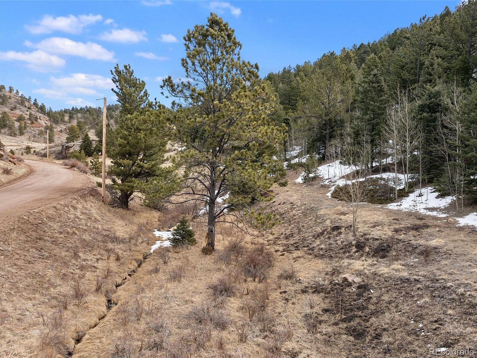 278 Penrose Cir Florissant, CO 80816  | Land/Lot