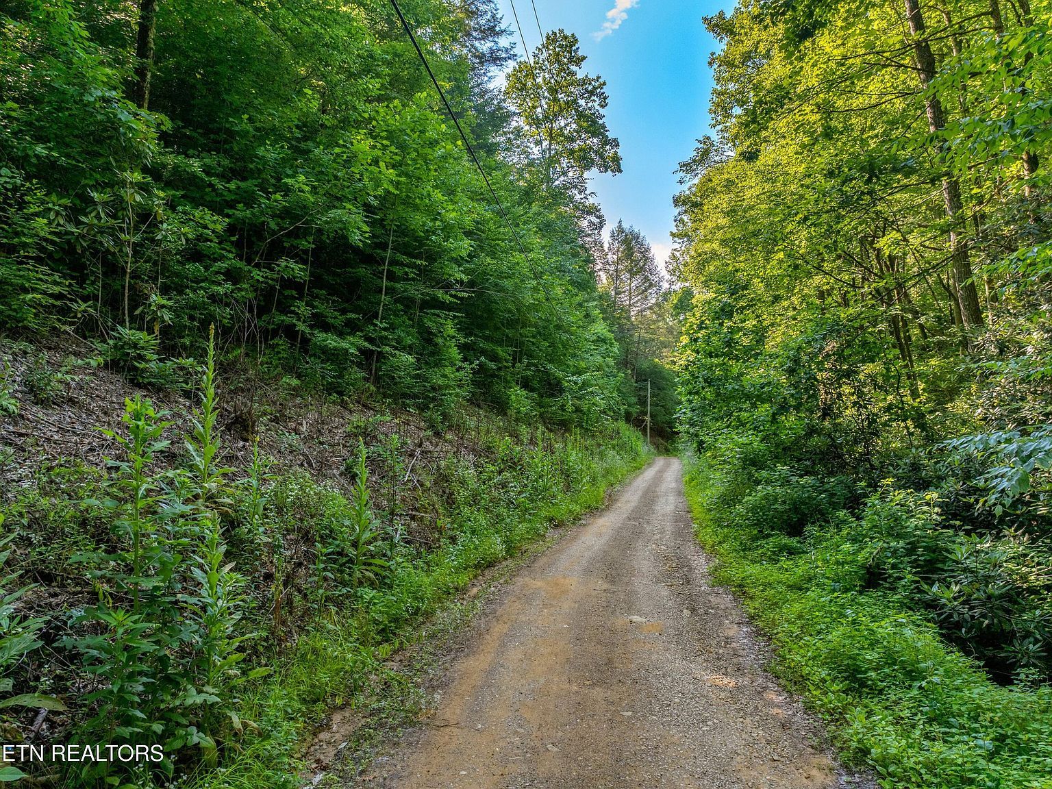 Yellow Breeches Rd Cosby, TN 37722  | Land/Lot