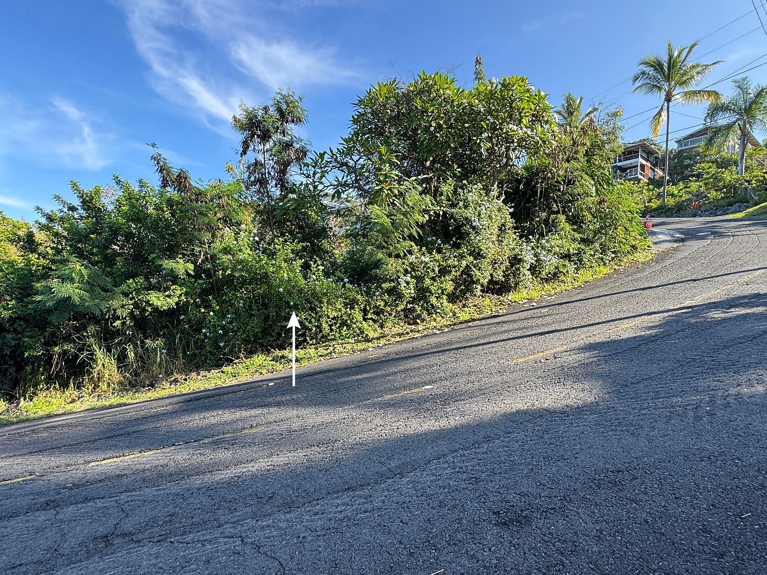 87-435 Kaohe Rd Captain Cook, HI 96704  | Land/Lot