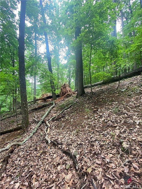 0 Skyview Dr Ellijay, GA 30536  | Land/Lot