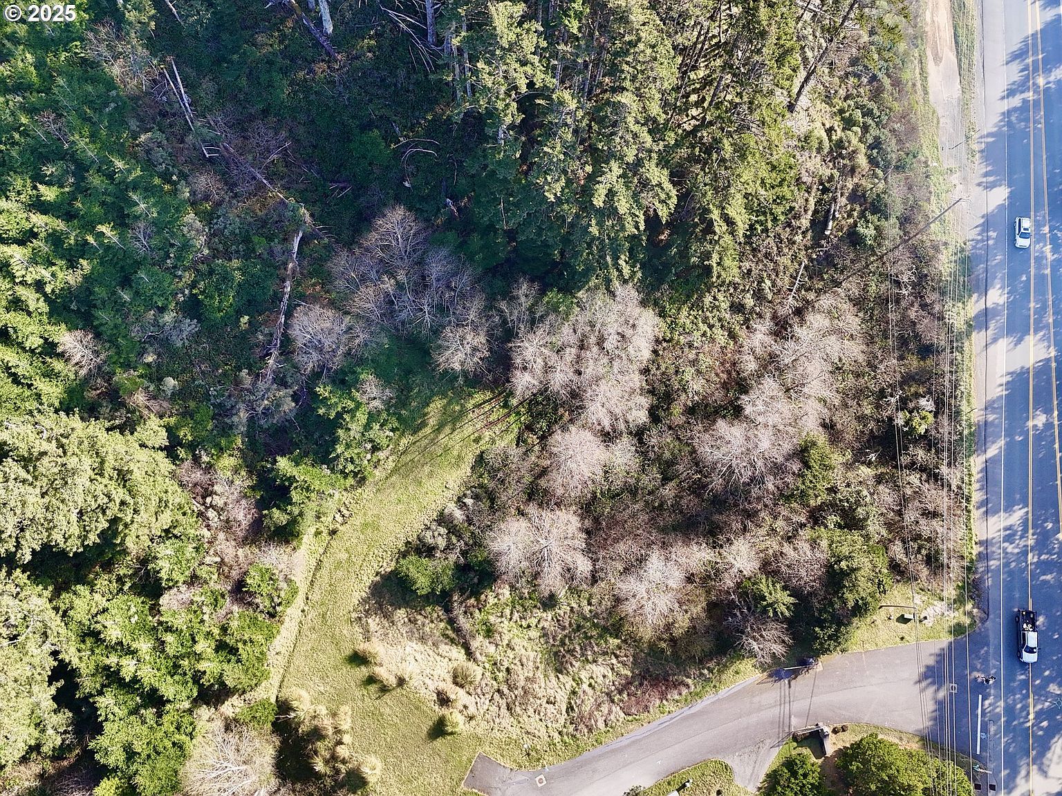 95015 Pacific Vista Dr #5 Gold Beach, OR 97444 | Land/Lot