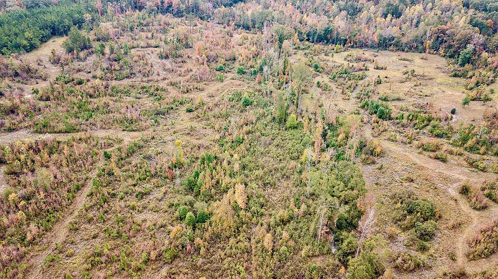 0 Battle Rd Hurtsboro, AL 36860  | Land/Lot