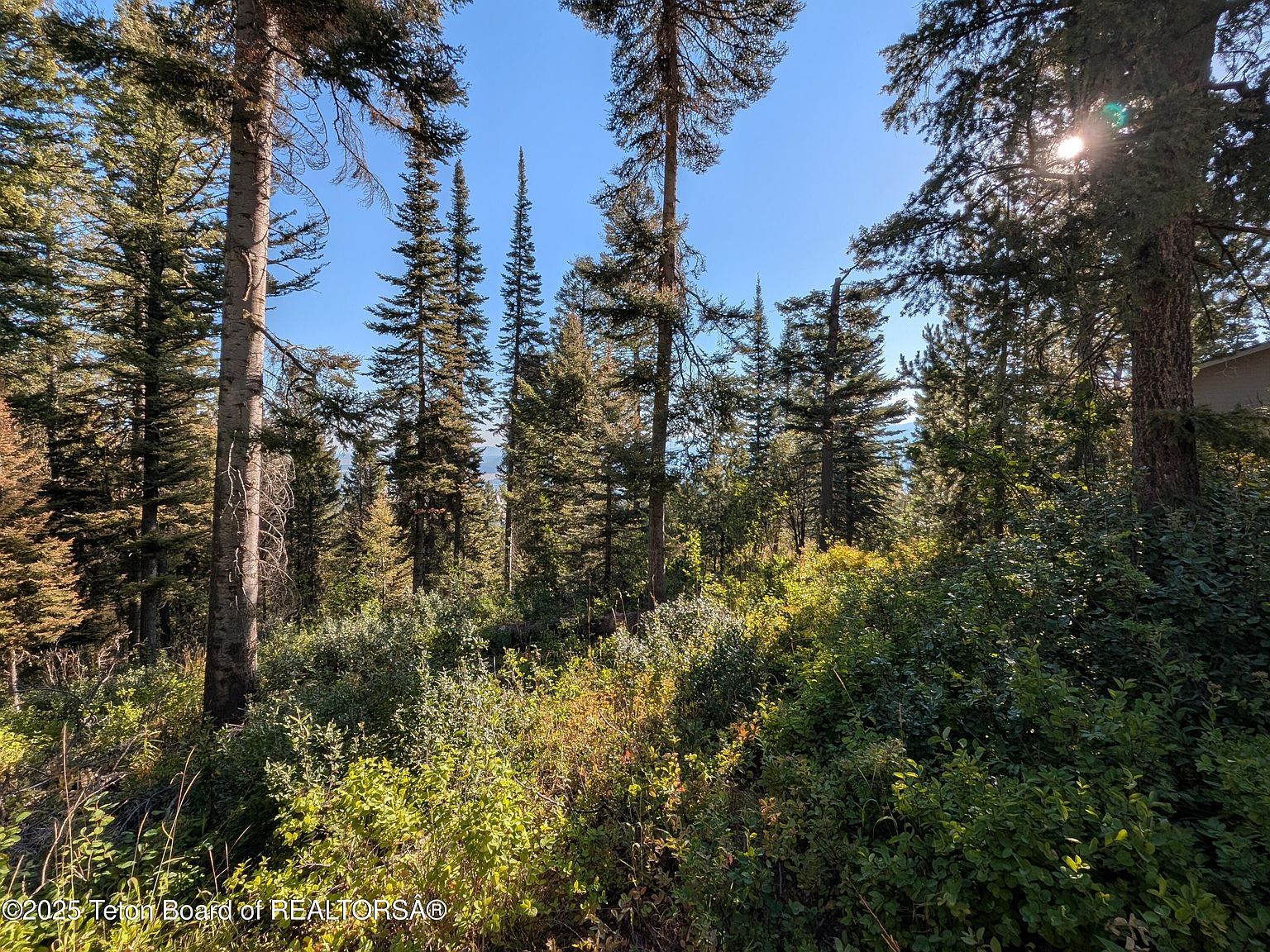 6765 W Lupine Trl Wilson, WY 83014 | Land/Lot