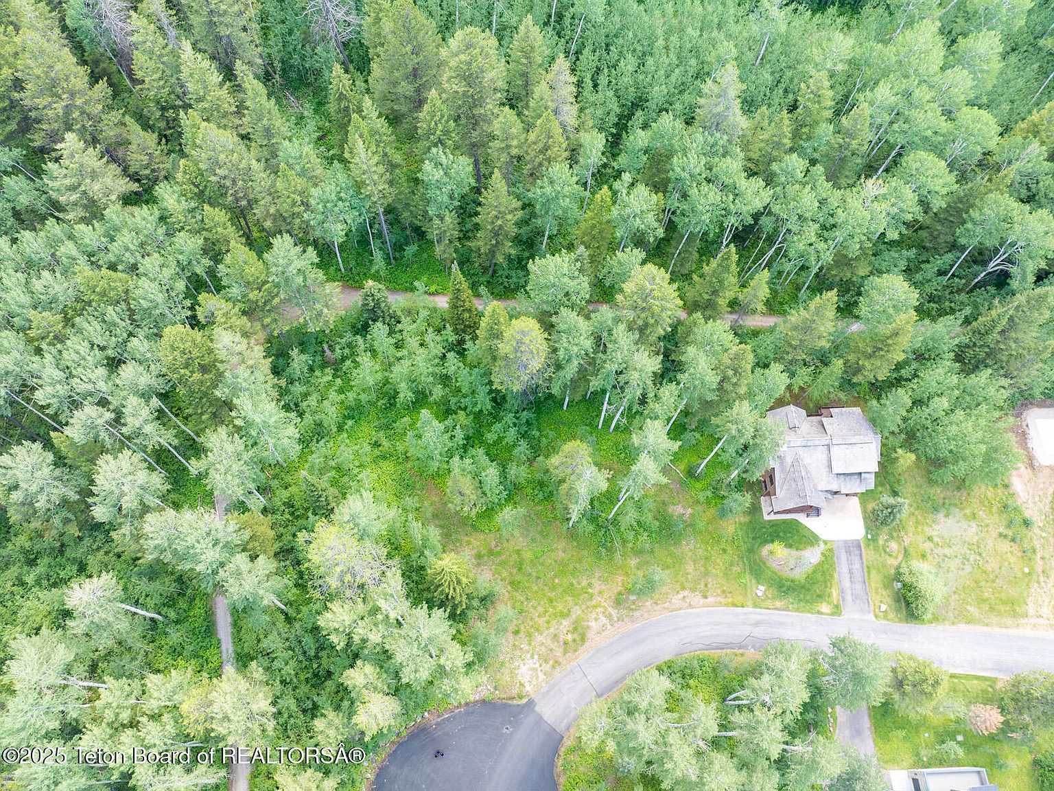 3 Blackfoot Trl Victor, ID 83455 | Land/Lot