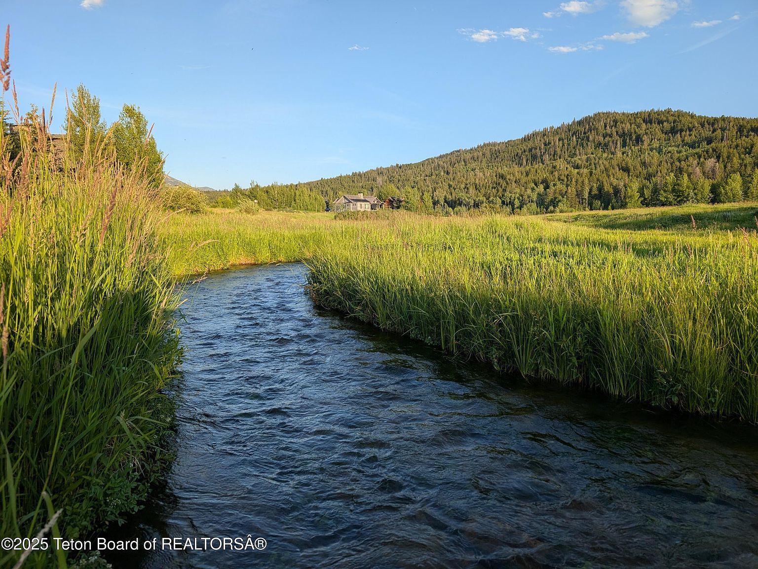 57 Warm Creek Ln Victor, ID 83455 | Land/Lot