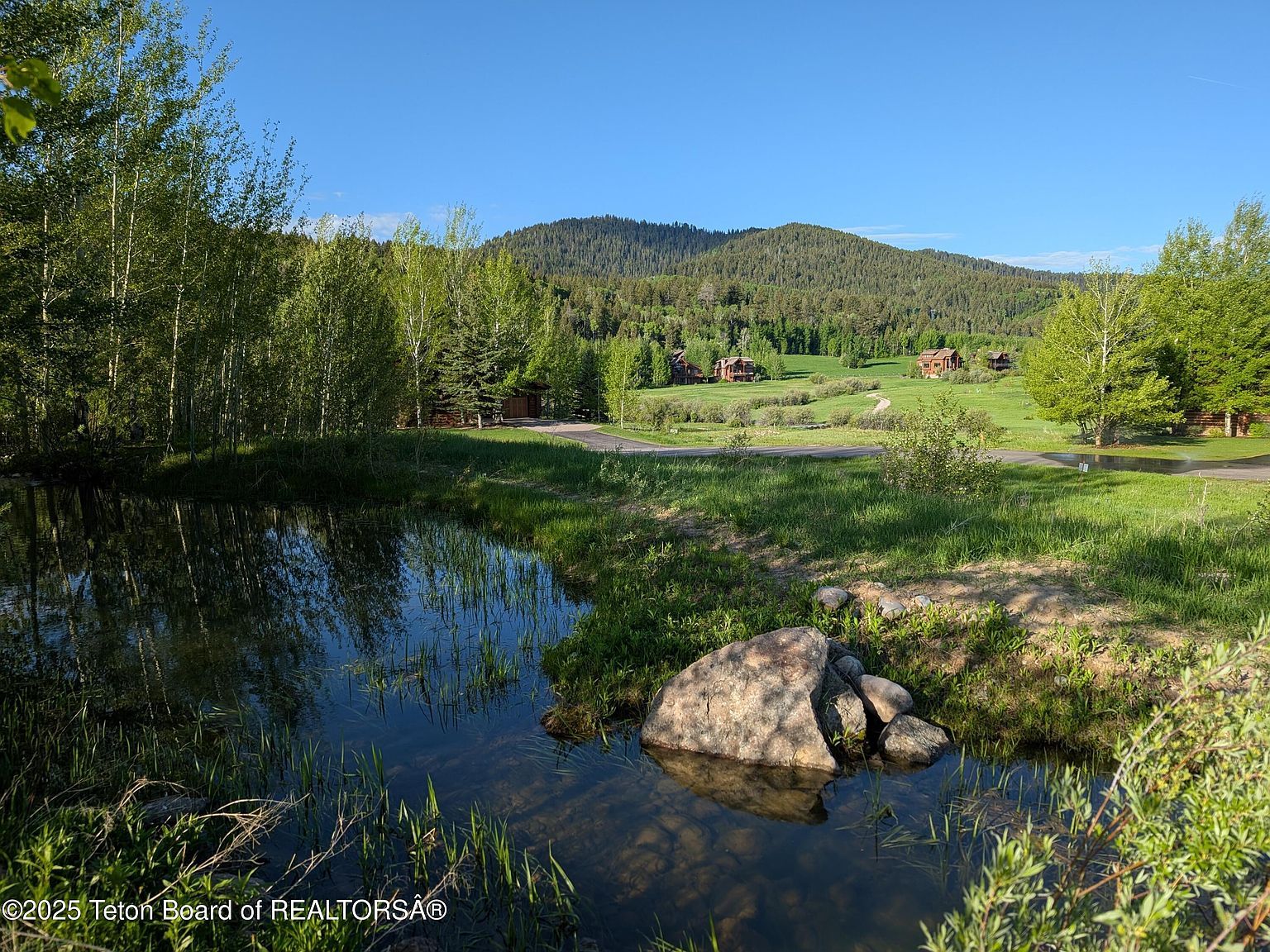 10 Riparian Dr Victor, ID 83455 | Land/Lot