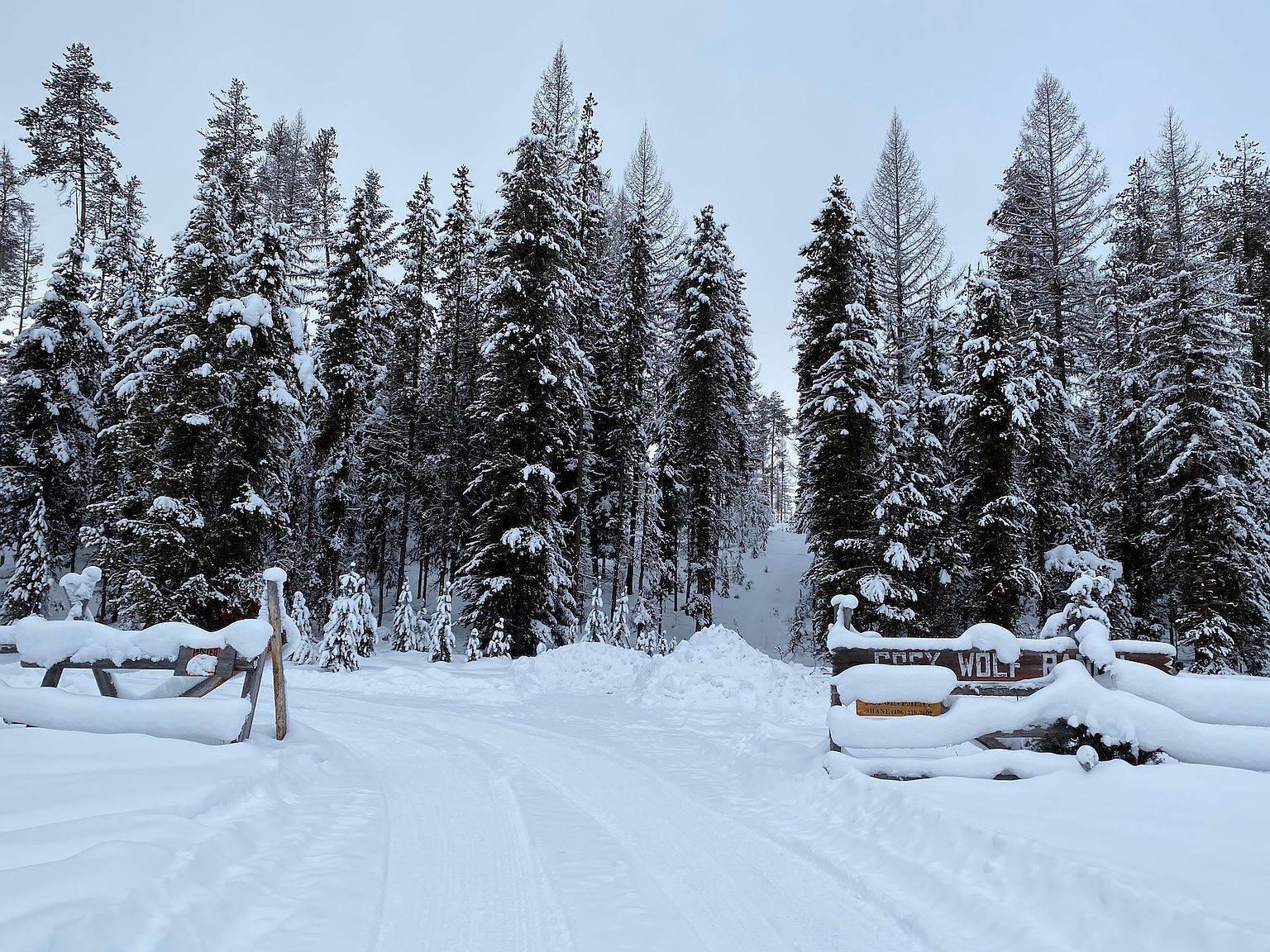 12455 N Placid Lake Rd Seeley Lake, MT 59868  | Single Family