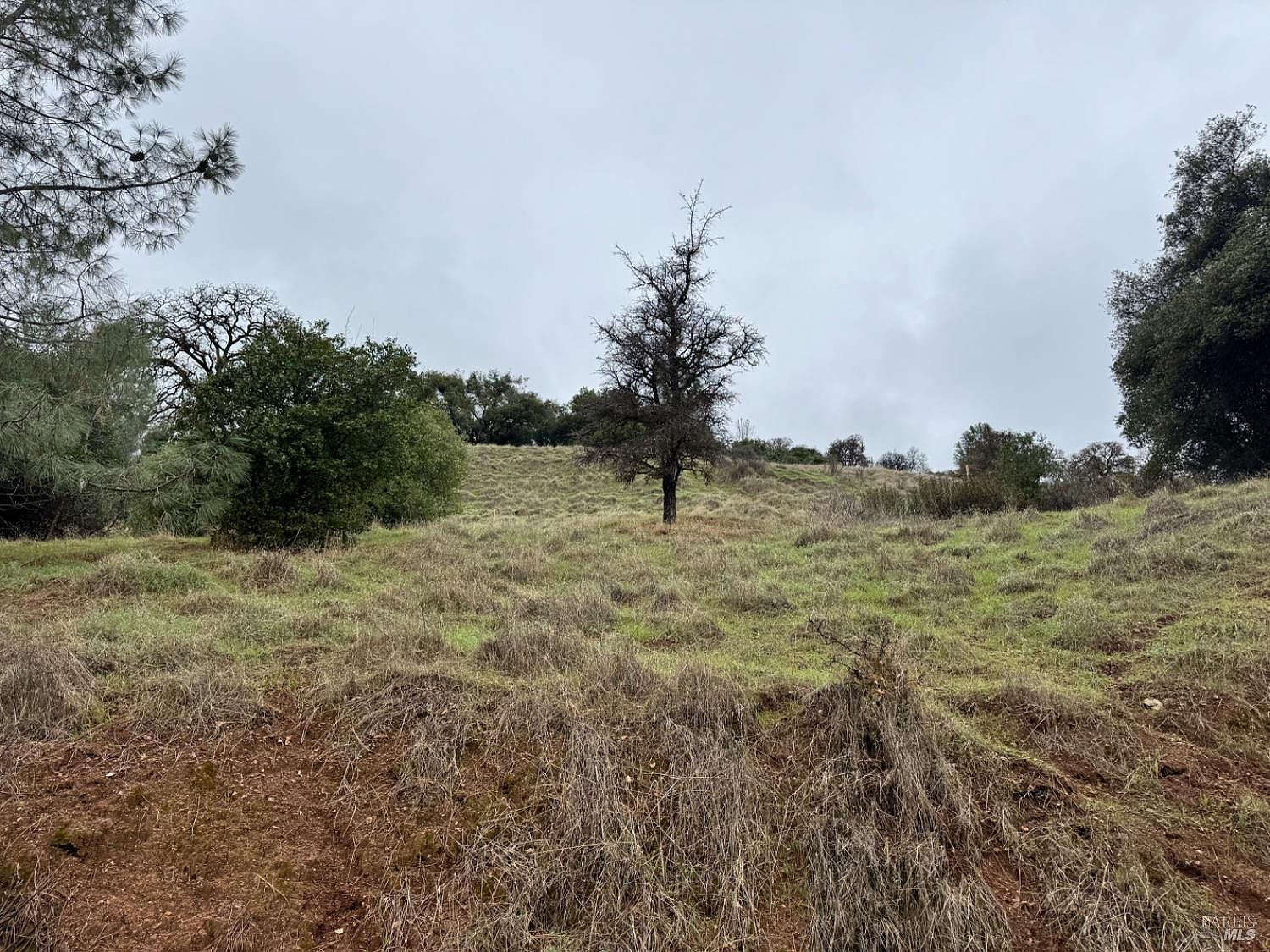 12332 Mountain View Dr Clearlake Oaks, CA 95423  | Land/Lot