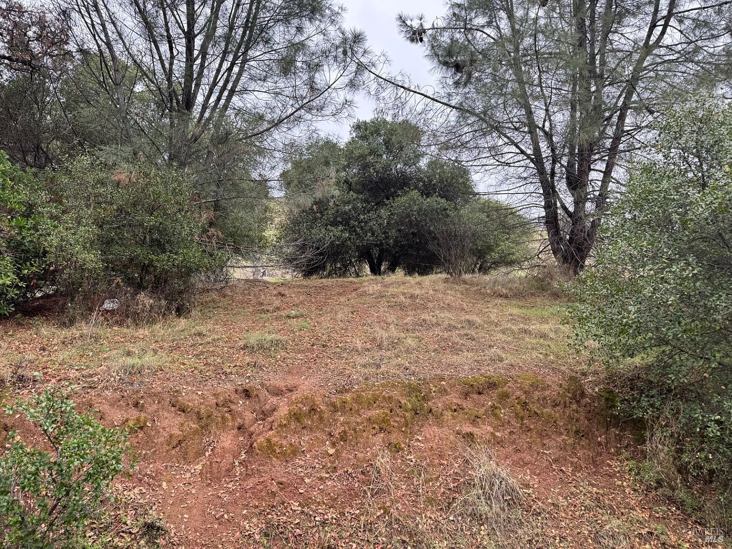 12336 Mountain View Dr Clearlake Oaks, CA 95423  | Land/Lot