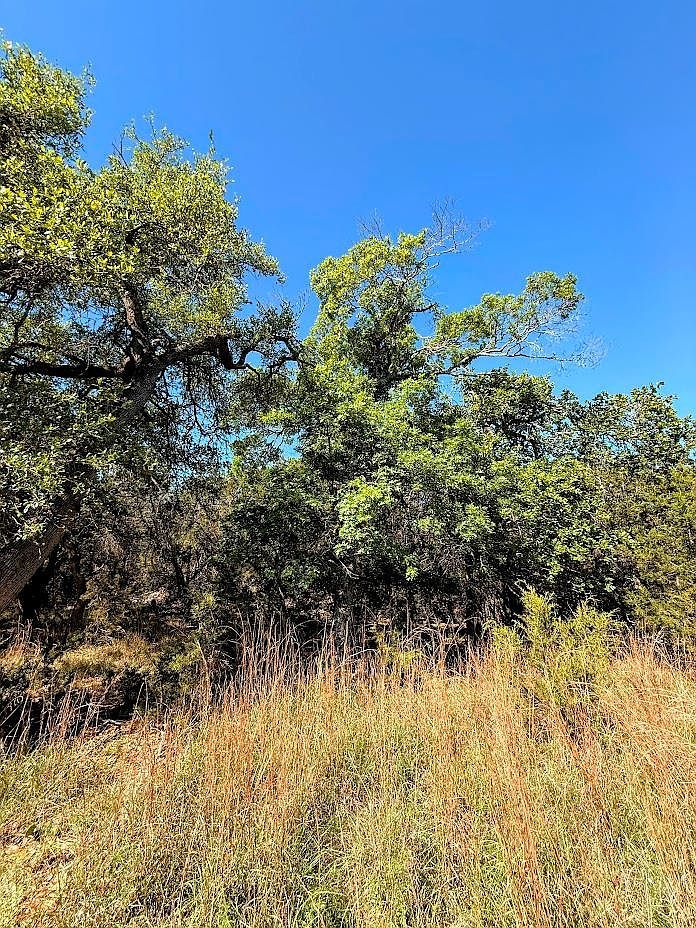 1930 S Rainbow Ranch Rd Wimberley, TX 78676  | Land/Lot
