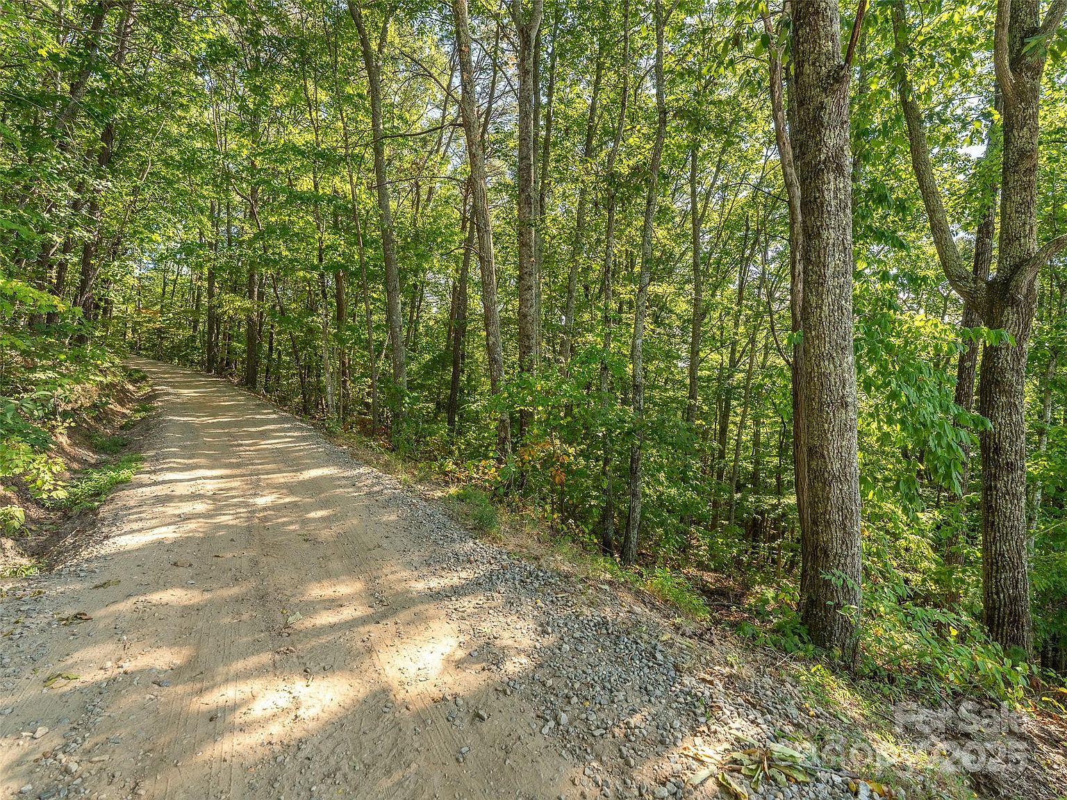 99999 Avondale Rd Asheville, NC 28803 | Land/Lot