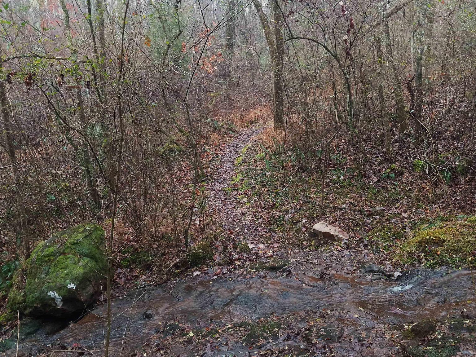 0 Kanasita Dr #1 Pell City, AL 35128  | Land/Lot