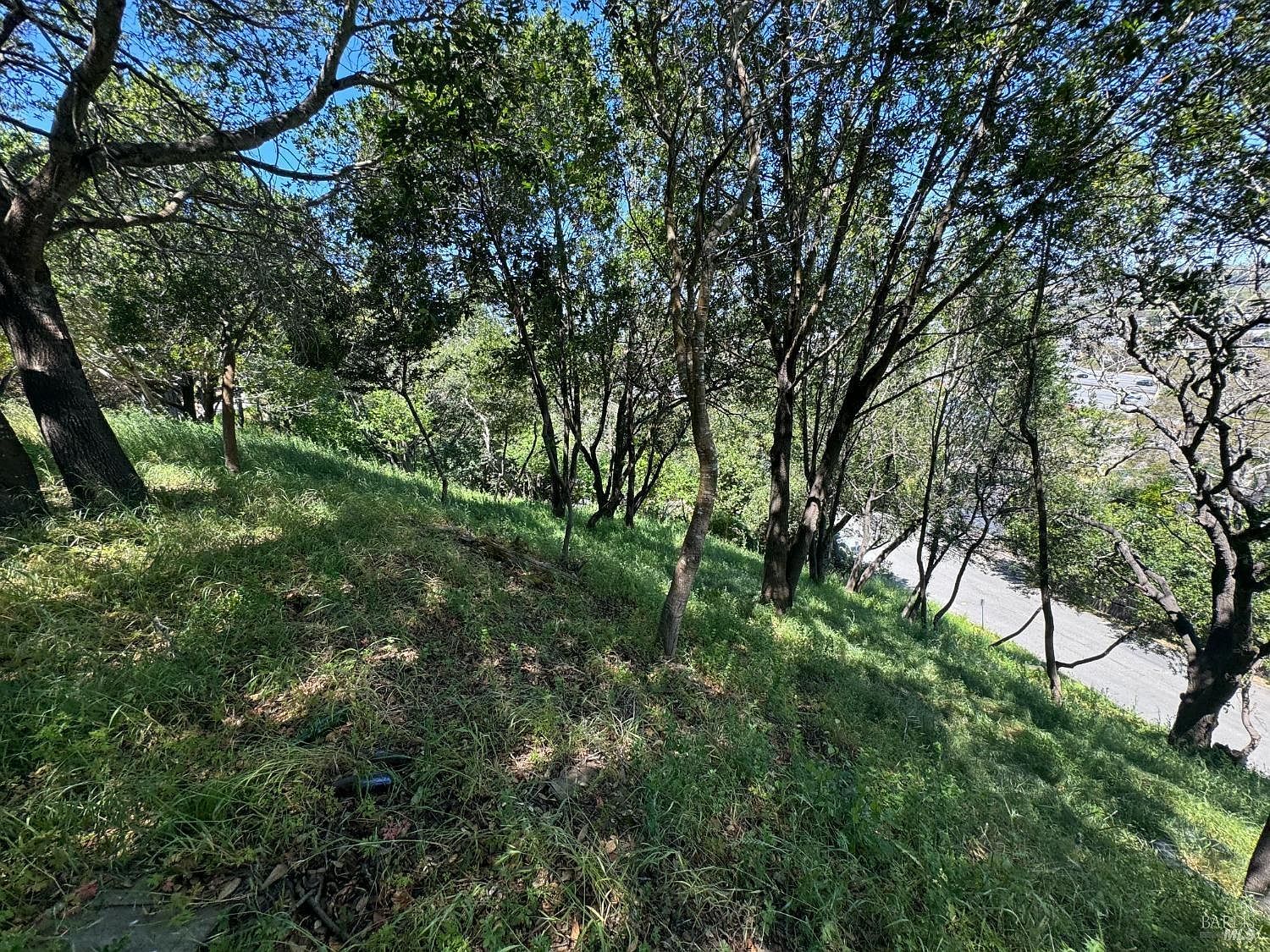 0 Meadowsweet Dr Corte Madera, CA 94925  | Land/Lot
