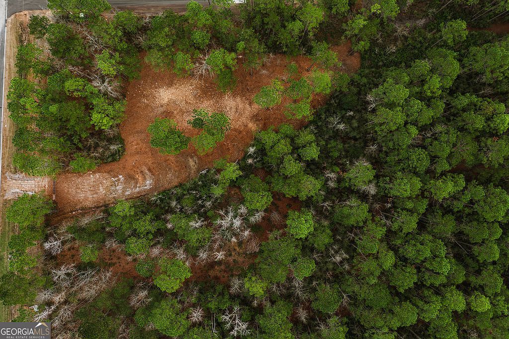 1743 Shawnee Egypt Rd Springfield, GA 31329  | Land/Lot