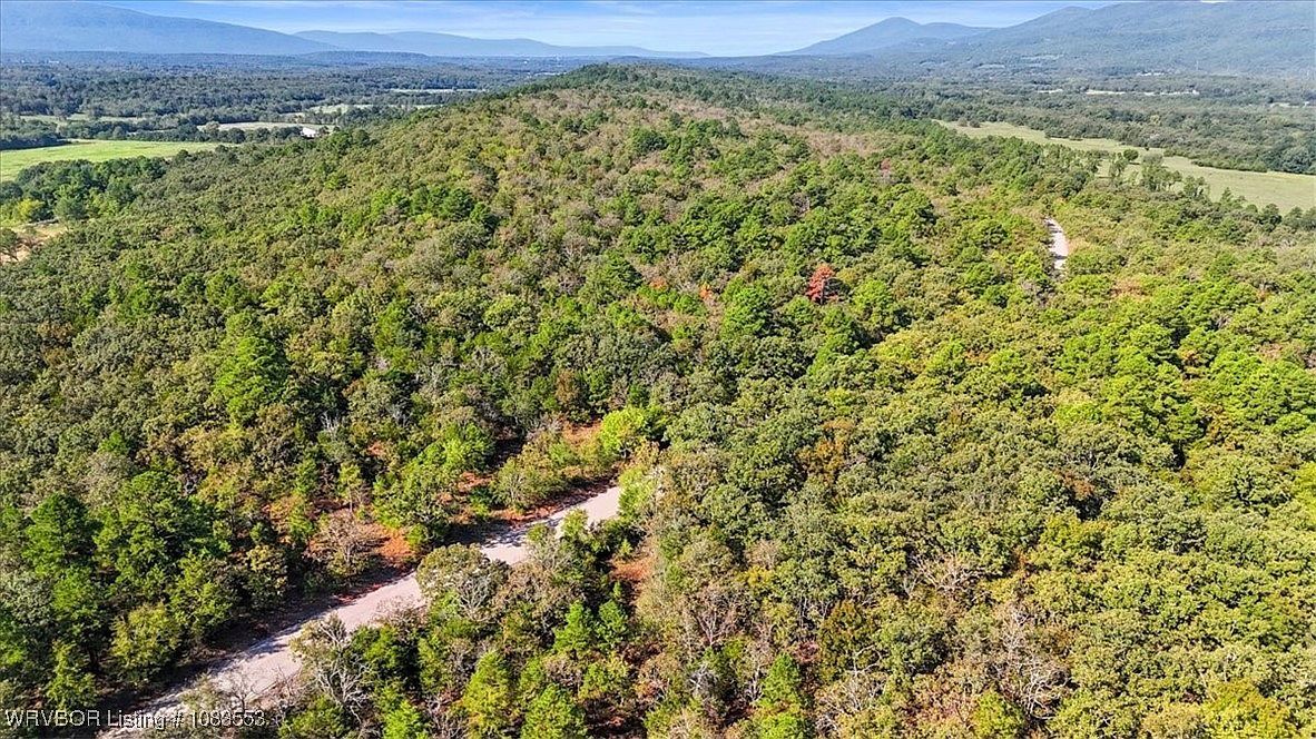 Tbd Douglas Rd Hartford, AR 72938 | Land/Lot