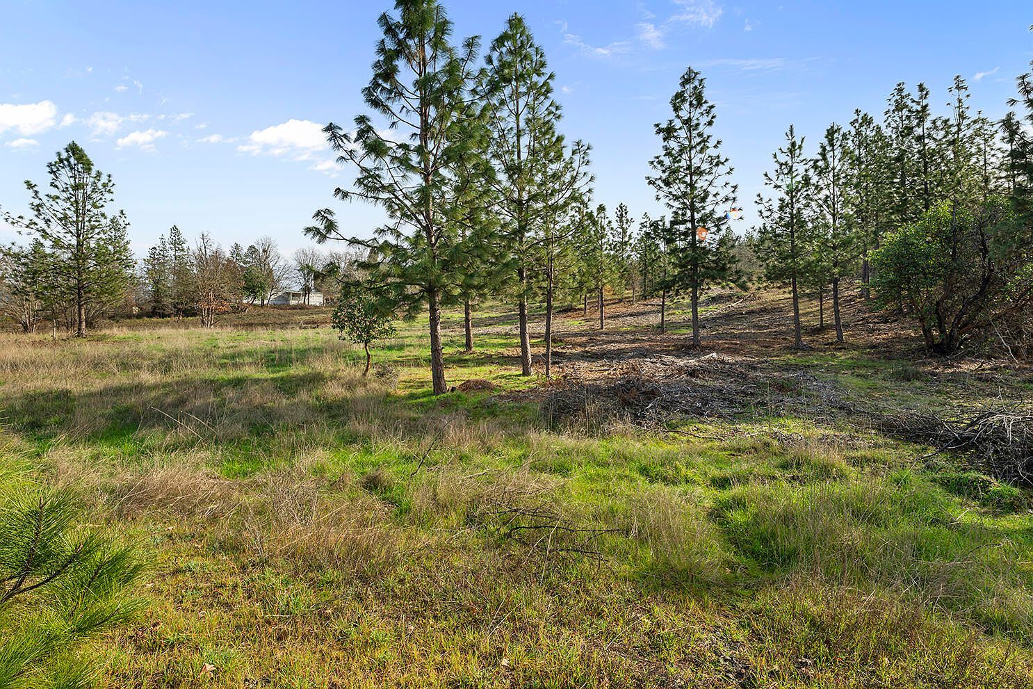 Galice Road 20 A0 2704 #35-06-00 Merlin, OR 97532  | Land/Lot