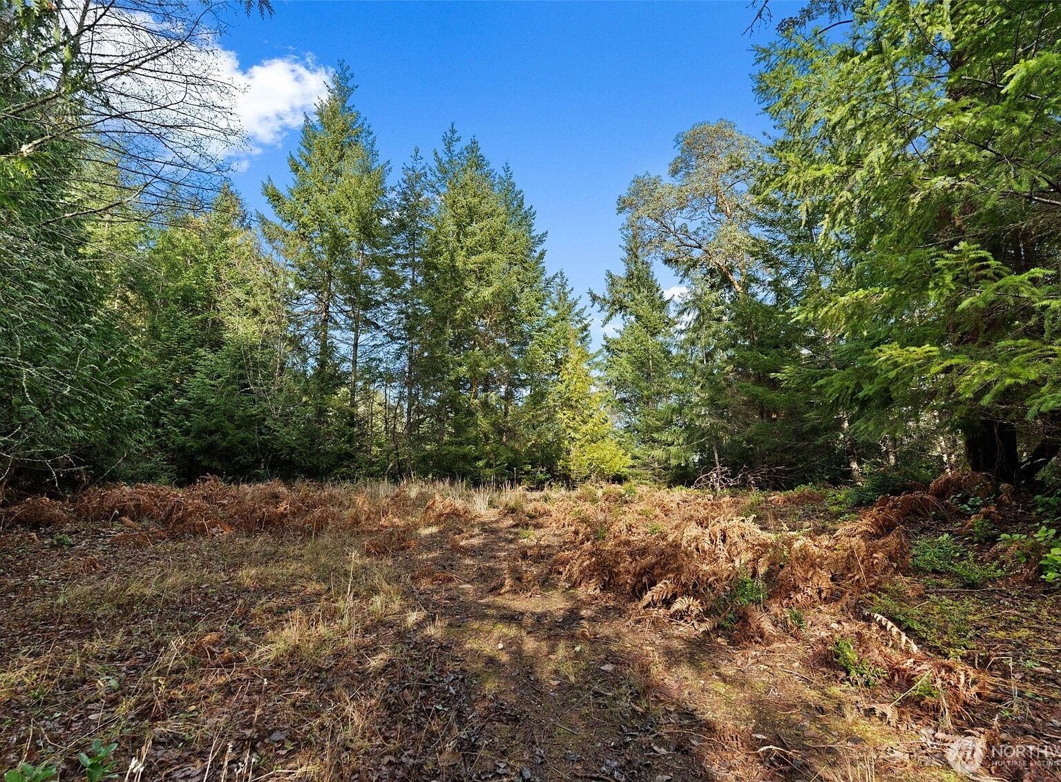 0 Willow Rd SE Pt Orchard, WA 98367  | Land/Lot
